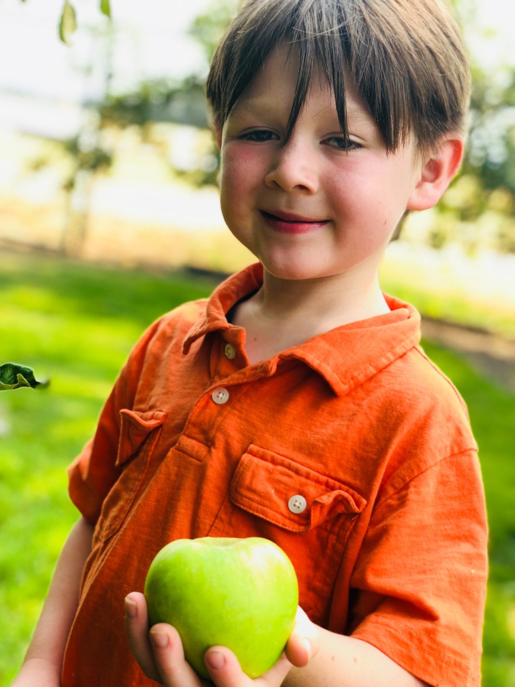 Little VIP student holding a green apple he picked from our tree